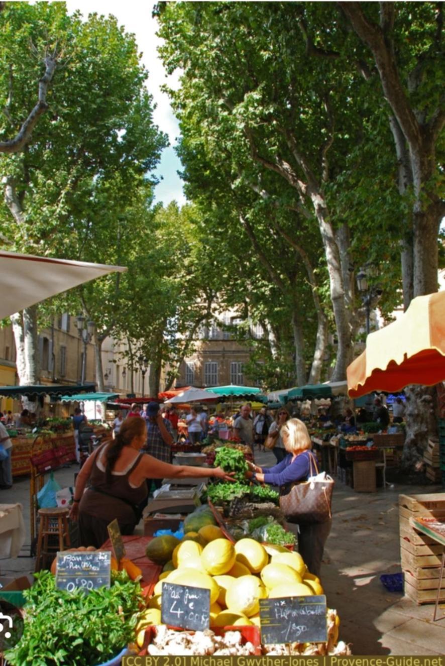 Superbe Appartement Avec Jardin Quart Mazarin Aix-en-Provence Exterior foto